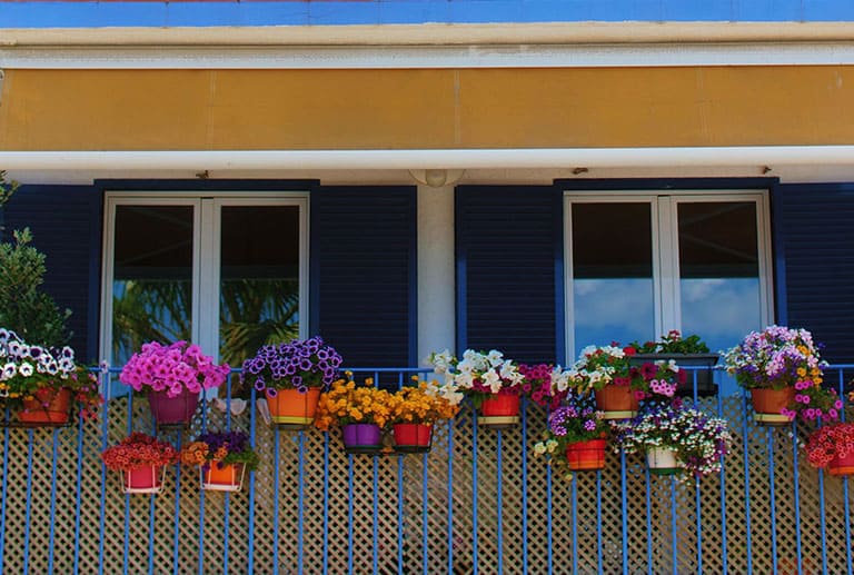 Es primavera: recibe al buen tiempo con flores y plantas para tu terraza