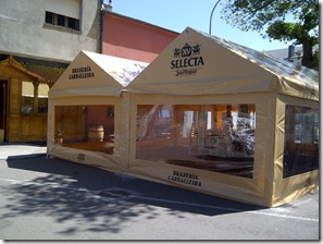 carpa rectangular a dos aguas con ventanas