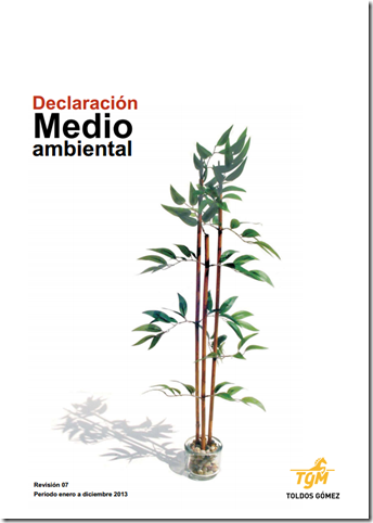 Declaración Medio ambiental TGM