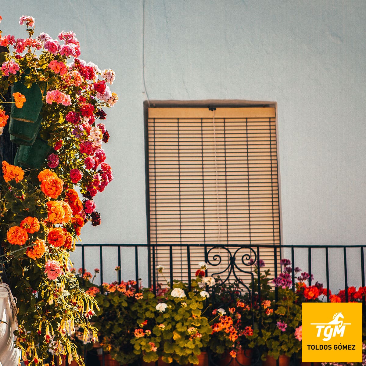 Es primavera: recibe al buen tiempo con flores y plantas para tu terraza